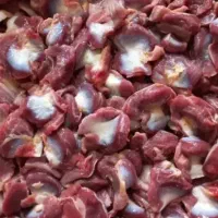 سنگدان منجمد