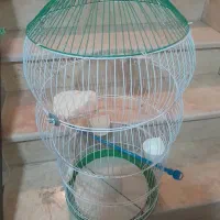 قفس پرنده فروشی