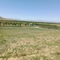 فروش-زمین-باغی-دره-ریز