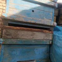 کندو|حیوانات مزرعه|کبودرآهنگ, |دیوار