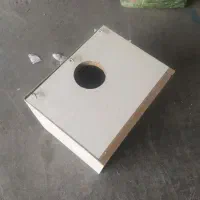 لونه عروس هلندی مرغ‌ عشق