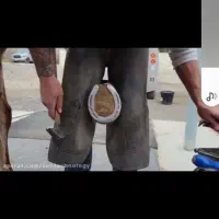 نعل بندی قیار اسب