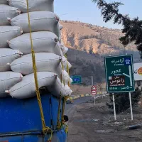 کاه گندم دیم نرم تمیزه