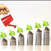 استخدام همکار دارای سرمایه