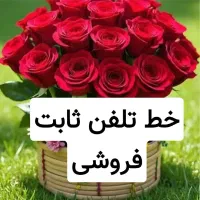 خط تلفن ثابت در عنبران ییلاقات فروش
