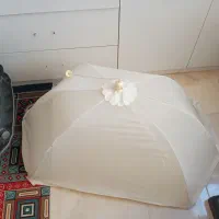 پشه بند