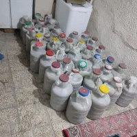 خیارشور