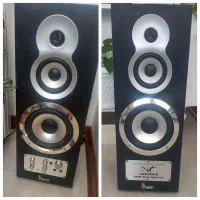 سیستم صوتی خانگی جفت درحدنو و باکیفیت