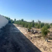 زمین-ویلایی-چهار-دیواری-شهرکی