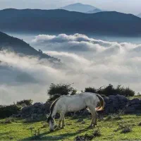 تور فیلبند