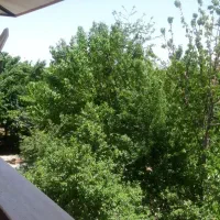 فروش-باغ-محصور-43000-متری