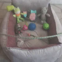 تشک و اسباب بازی گربه