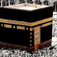 فیش حج سال 86 ب کمترین قیمت