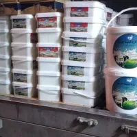 پنیر|خوردنی و آشامیدنی|نیشابور, گنبد سبز|دیوار