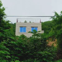 ویلا‌‌گل‌بنفشه‌در‌طبیعت‌روی‌بلندی