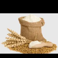 ارد بربری و لواش