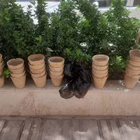 گلدان