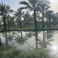 نیازمند کارگر با خانواده