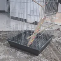 قفس پرنده