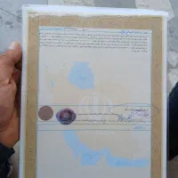 گمشده