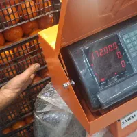 کارگر میوه وتره بار