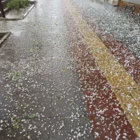 خط ۰۹۱۲ فروشی