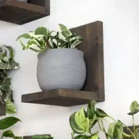 شلف چوب روسی