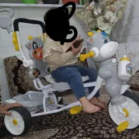 روروئک، کریر