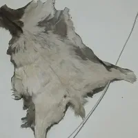 دکور دیواری فرش پوست