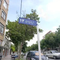 شش دانگ قاضی طباطبایی سهم العرصه عرصه زیاد