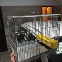 قفس سهره