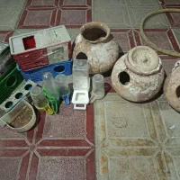 لونه پرنده