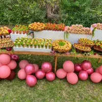 میزمزه فینگرفود میز مزه