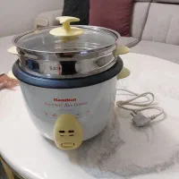 پلوپز وبخار پز همیلتون