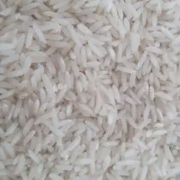 برنج طارم هاشمی درجه 1 فریدونکنار مستقیم از کشاورز