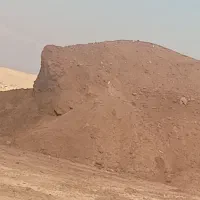 کود حیوانی