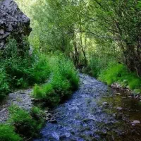 دورهمی بانوان باغ