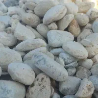 سنگهای دریای با مناسبترین قیمت