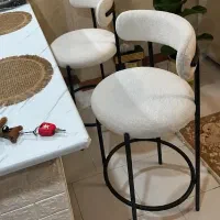 صندلی تدی اپنی