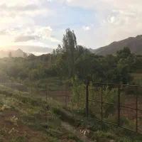 باغ سند دار ۱۲۰۰ متر