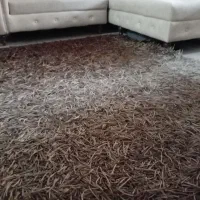 فرش هندی|فرش|تهران, شهید اسدی|دیوار