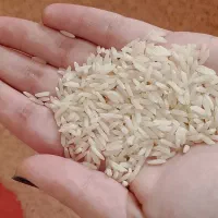 برنج هاشمی