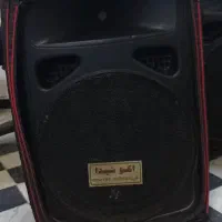 فروش باند اکتیو پروساند(فلش خور و بلوتوث)