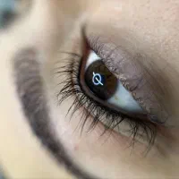 جذب مدل برای تکنیک های ارایش دائم
