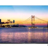 تلویزیون LED دوو ۵۵ اینچ