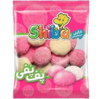 استخدام ویزیتور