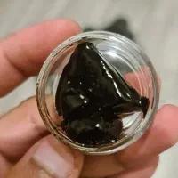 مومنایی اصل کوهی درجه یک به شرط