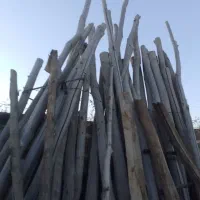 چوب خشک واسه سقف