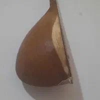 دوتار خوش صدا