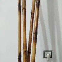 نی بامبو